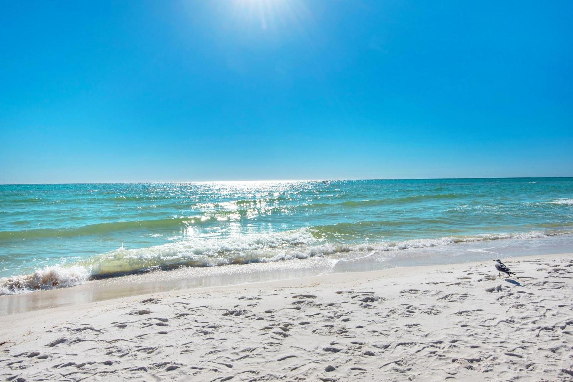 Shores Of Panama 908 Panama City Beach Kültér fotó